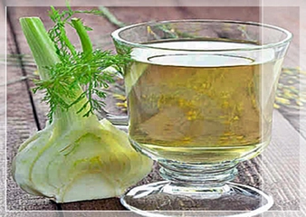 Gaz Giderici Bitkiler Türleri ve Özellikleri