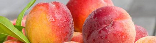 Şeftali Gaz Yapar mı?